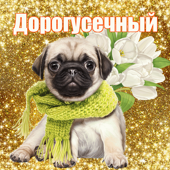 Дорогусечный! С первым воскресеньем весны! Красивая открытка !
