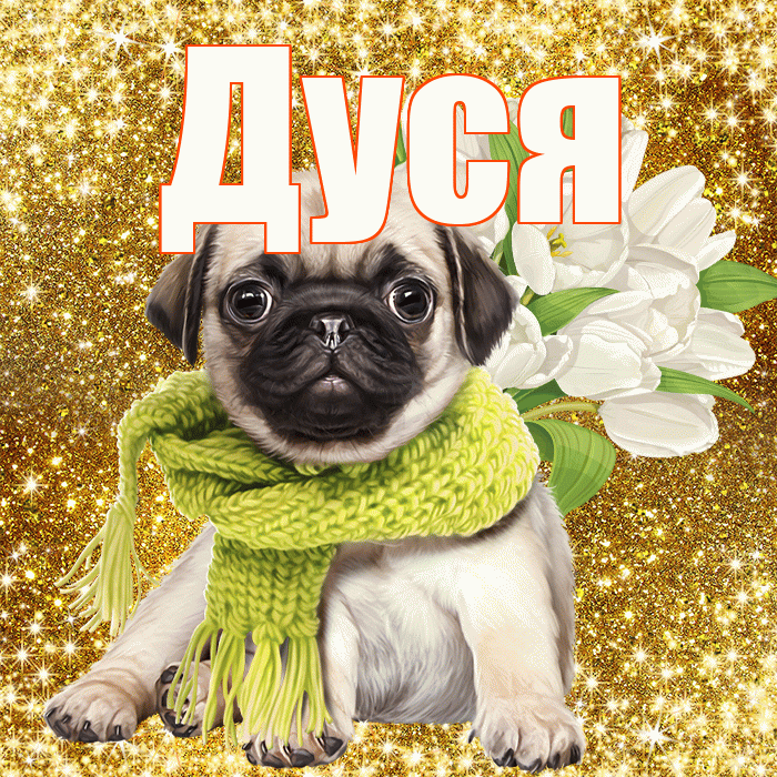 Дуся! С первым воскресеньем весны! Красивая открытка Дусе!