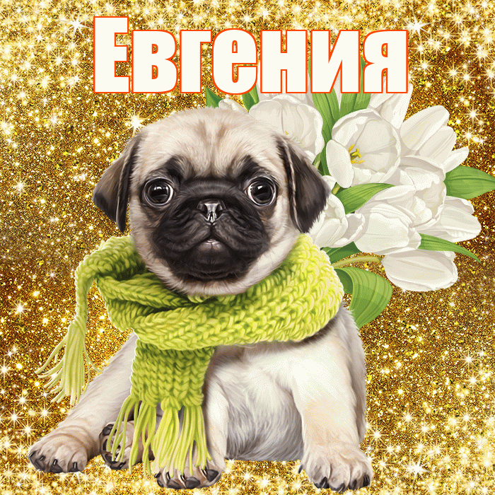 Евгения! С первым воскресеньем весны! Красивая открытка Евгении!