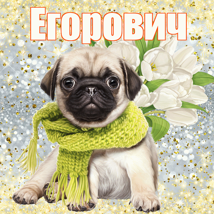 Егорович! С первым воскресеньем весны! Красивая открытка Егоровичу!