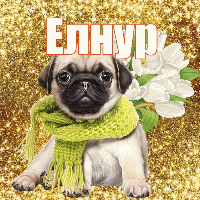 Елнур! С первым воскресеньем весны! Красивая открытка Елнуру!