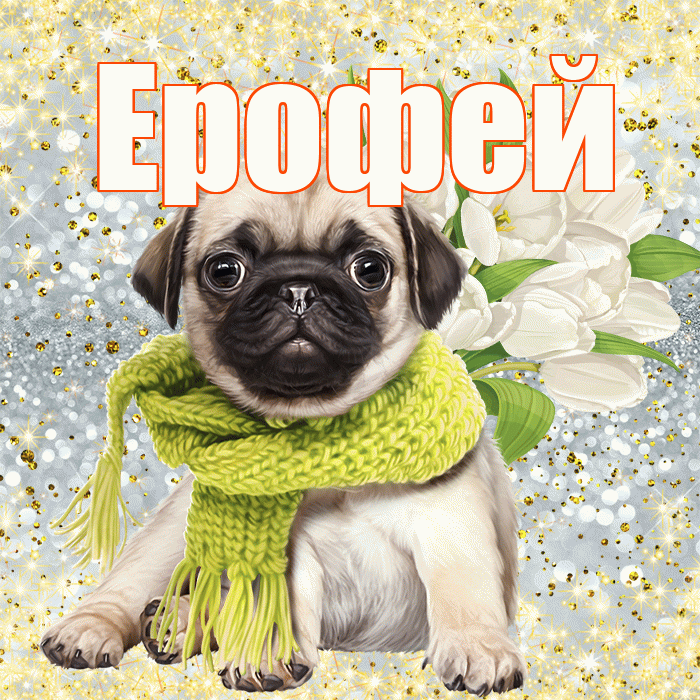 Ерофей! С первым воскресеньем весны! Красивая открытка Ерофею!