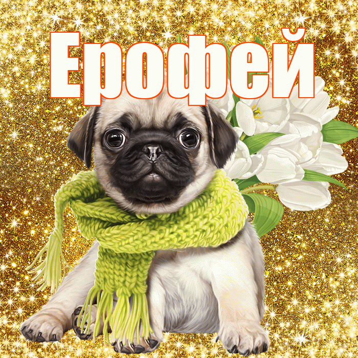 Ерофей! С первым воскресеньем весны! Красивая открытка Ерофею!