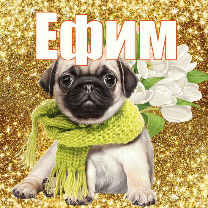 Ефим! С первым воскресеньем весны! Красивая открытка Ефиму!