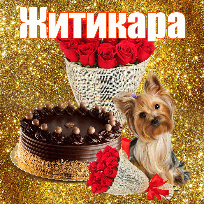 Житикара! С первым воскресеньем весны! Красивая открытка Житикаре!