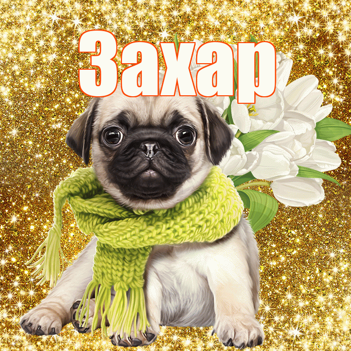 Захар! С первым воскресеньем весны! Красивая открытка Захару!