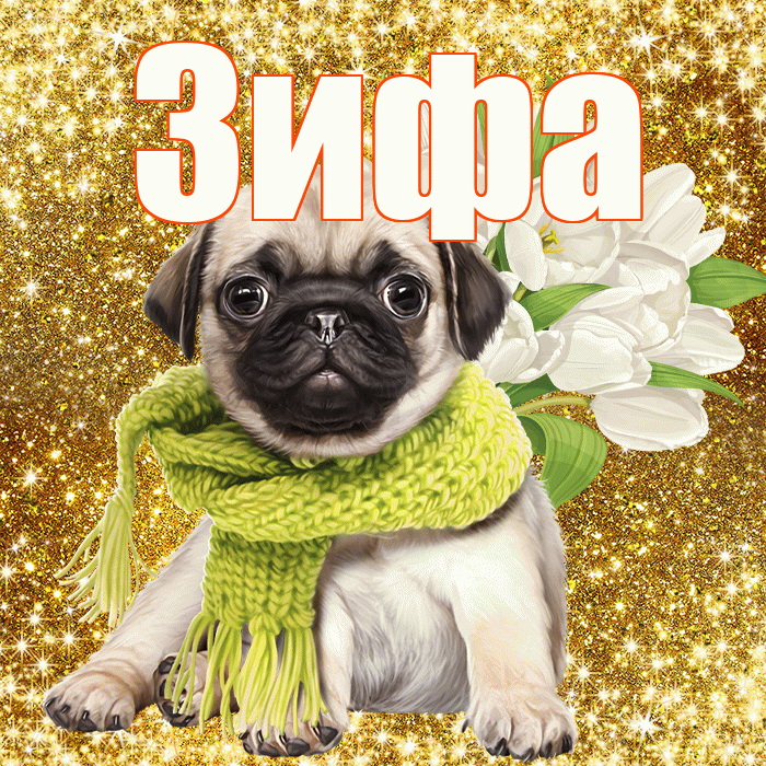 Зифа! С первым воскресеньем весны! Красивая открытка Зифе!