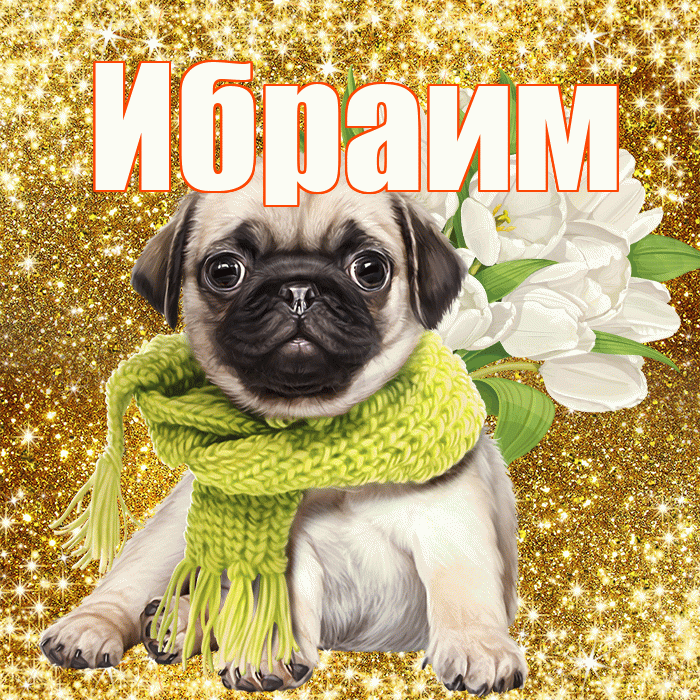 Ибраим! С первым воскресеньем весны! Красивая открытка Ибраиму!