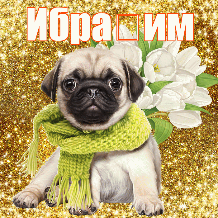 Ибра им! С первым воскресеньем весны! Красивая открытка !