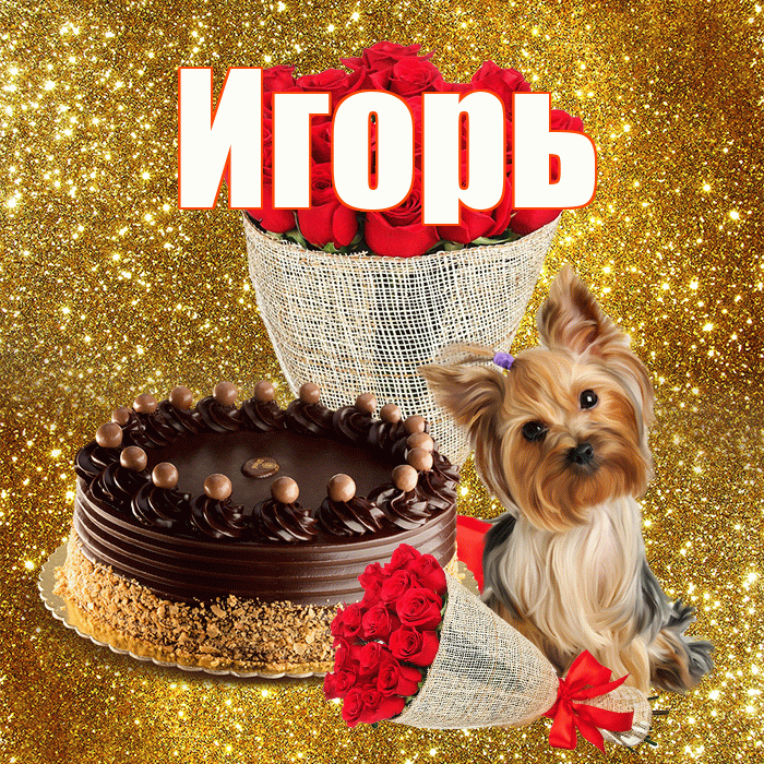 Игорь! С первым воскресеньем весны! Красивая открытка Игорю!