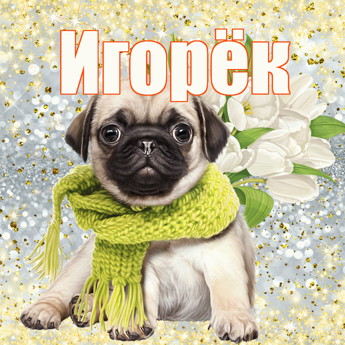 Игорёк! С первым воскресеньем весны! Красивая открытка !