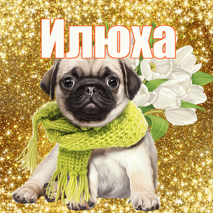 Илюха! С первым воскресеньем весны! Красивая открытка !