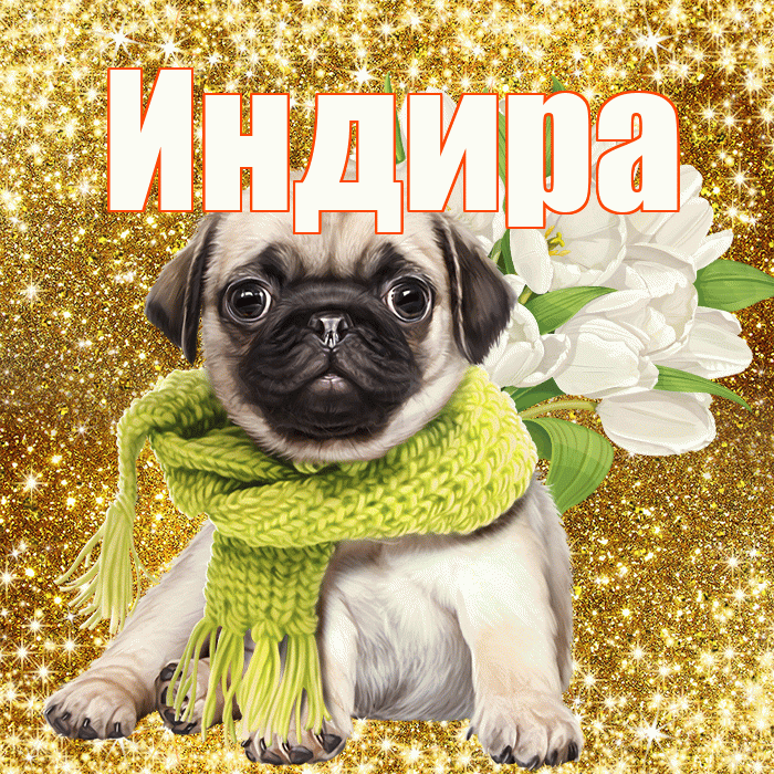Индира! С первым воскресеньем весны! Красивая открытка Индире!