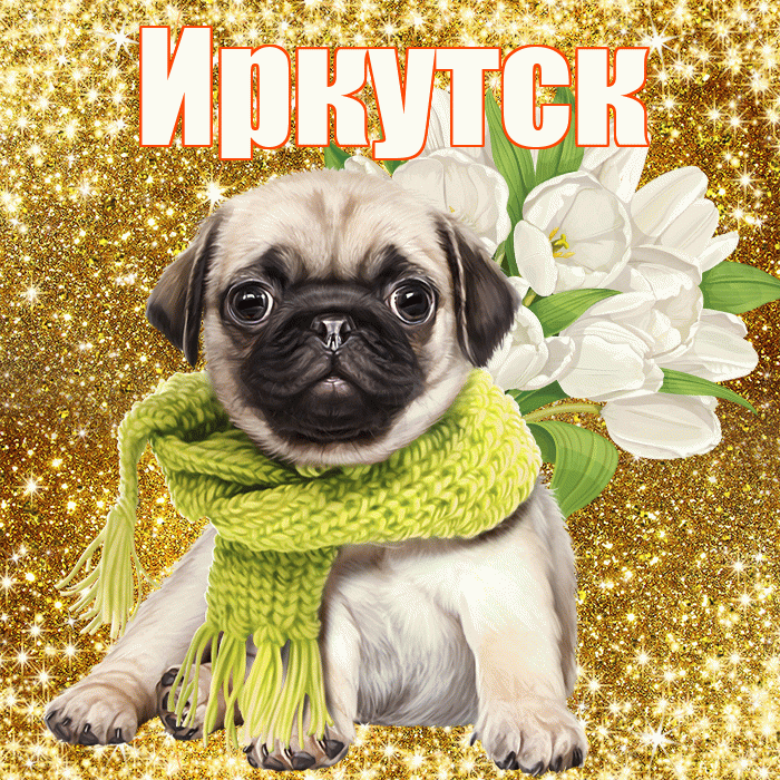 Иркутск! С первым воскресеньем весны! Красивая открытка Иркутску!