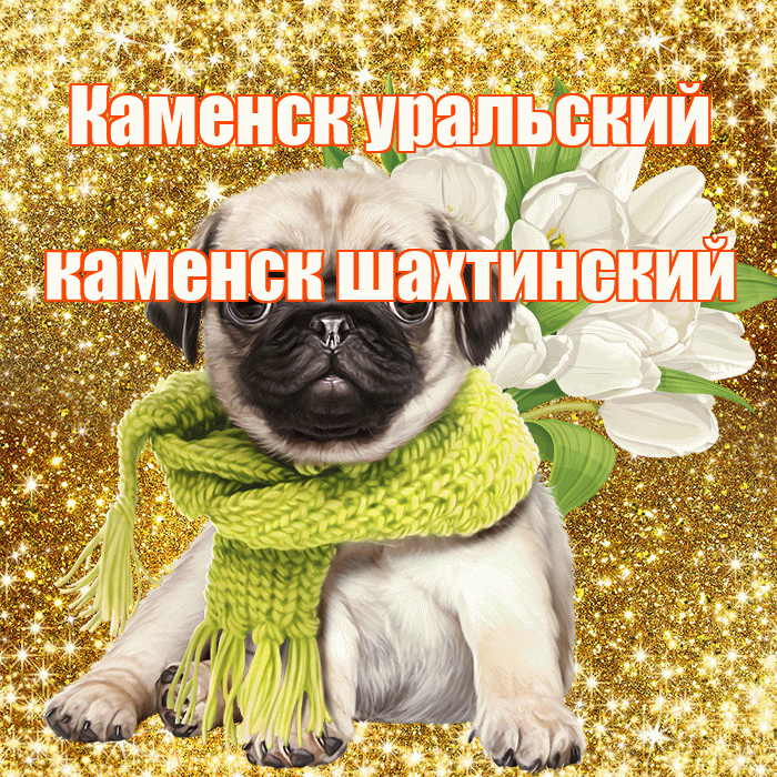 Каменск уральский каменск шахтинский! С первым воскресеньем весны! Красивая открытка !