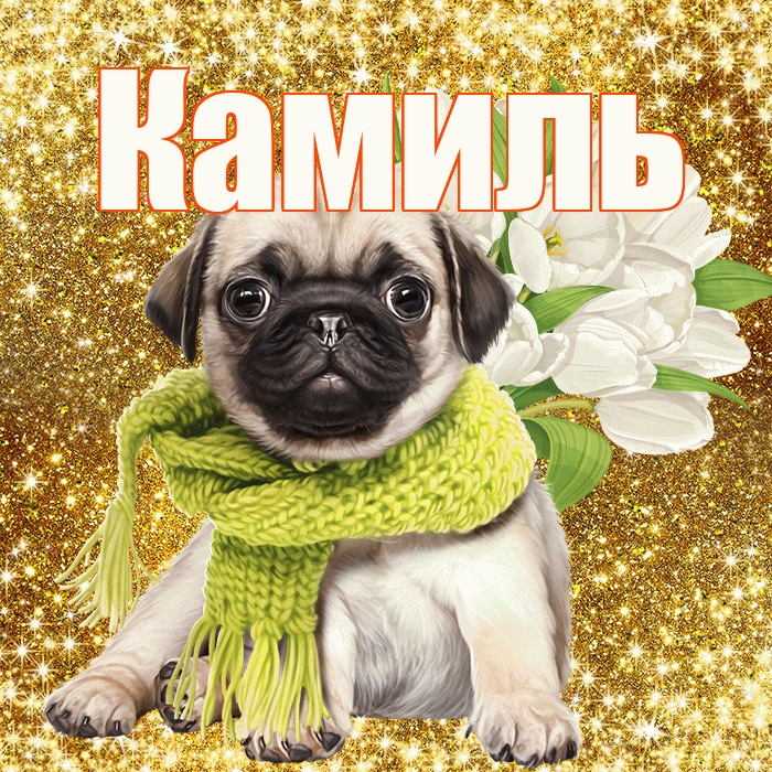 Камиль! С первым воскресеньем весны! Красивая открытка Камилю!