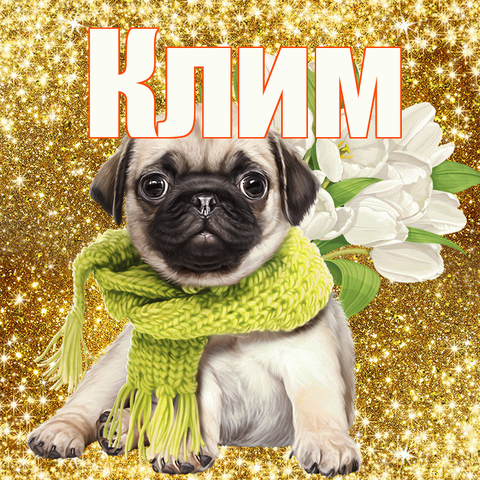 Клим! С первым воскресеньем весны! Красивая открытка Климу!