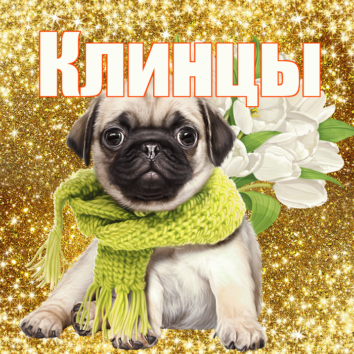 Клинцы! С первым воскресеньем весны! Красивая открытка Клинцы!