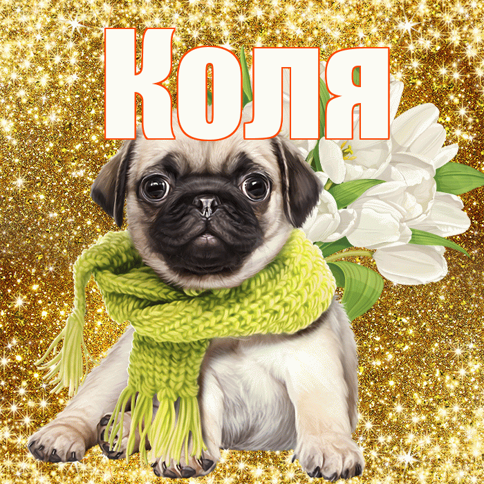 Коля! С первым воскресеньем весны! Красивая открытка Коле!