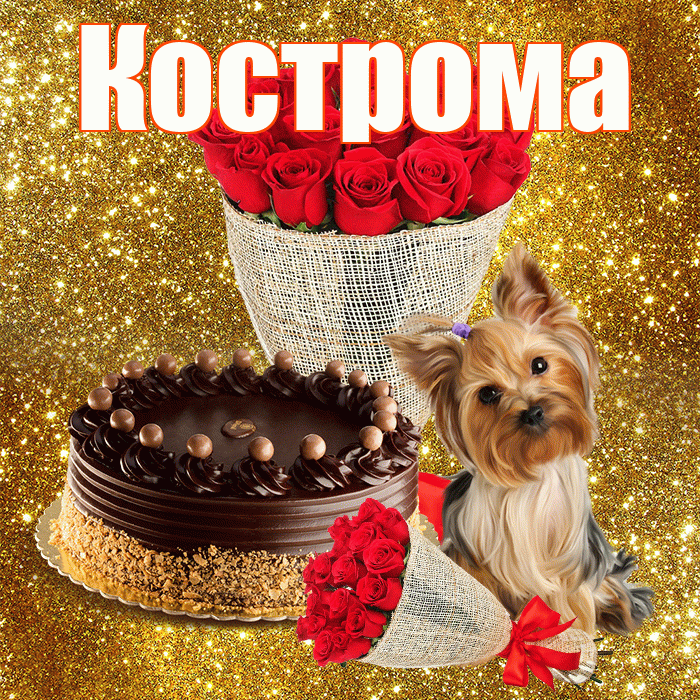 Кострома! С первым воскресеньем весны! Красивая открытка Костроме!