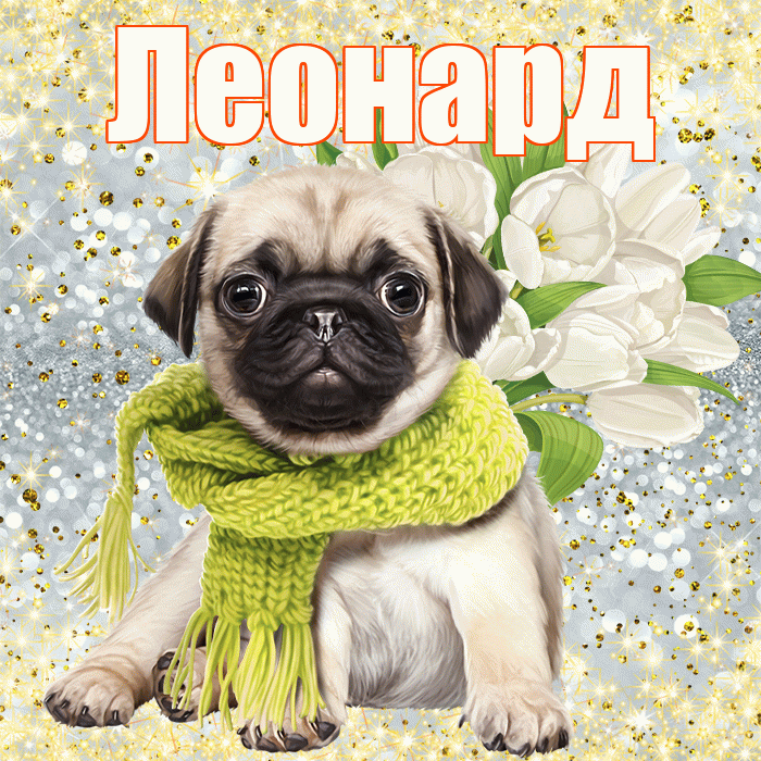 Леонард! С первым воскресеньем весны! Красивая открытка Леонарду!