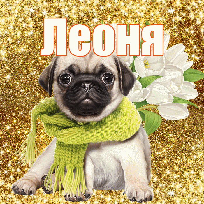 Леоня! С первым воскресеньем весны! Красивая открытка Леонящему!