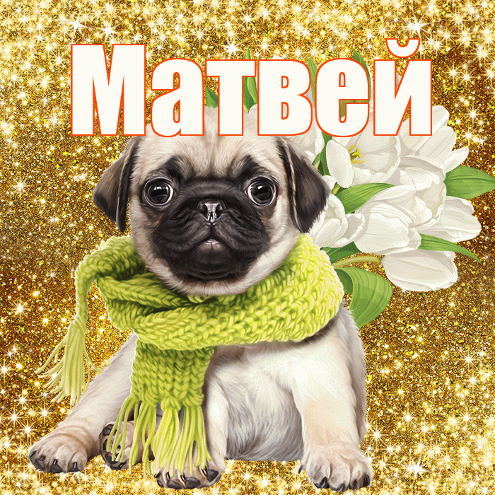 Матвей! С первым воскресеньем весны! Красивая открытка Матвею!