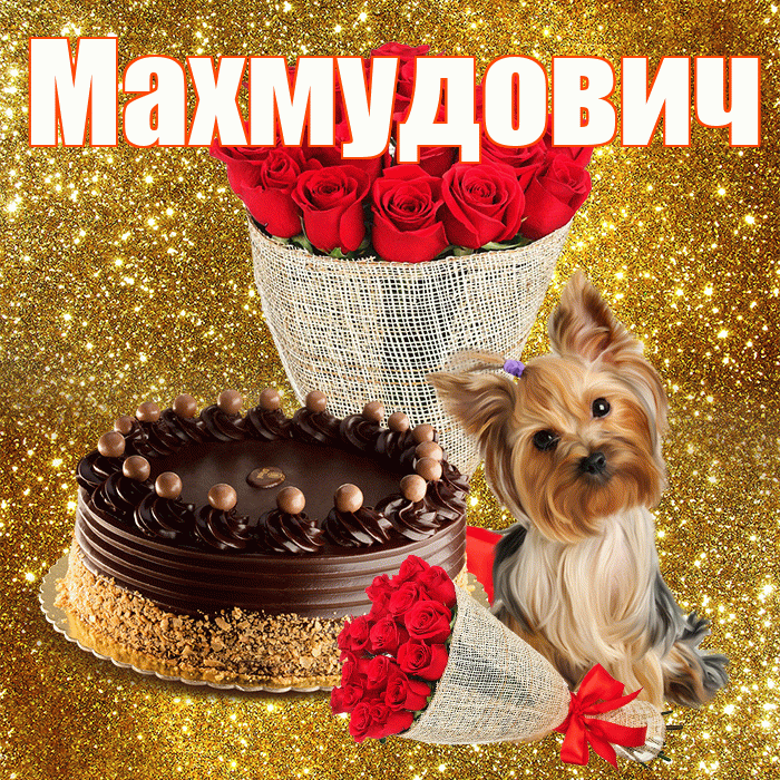Махмудович! С первым воскресеньем весны! Красивая открытка Махмудовичу!