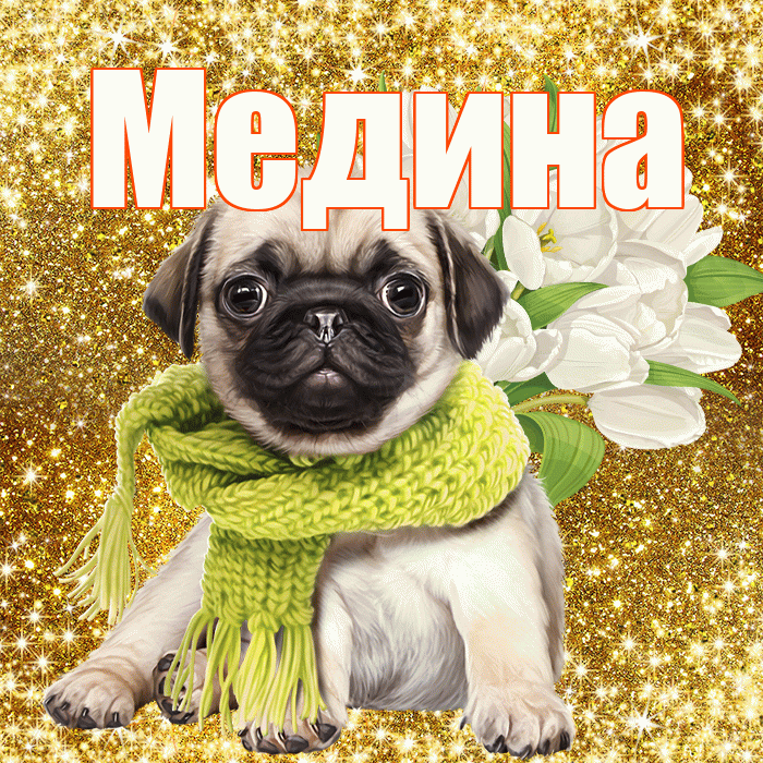Медина! С первым воскресеньем весны! Красивая открытка Медине!