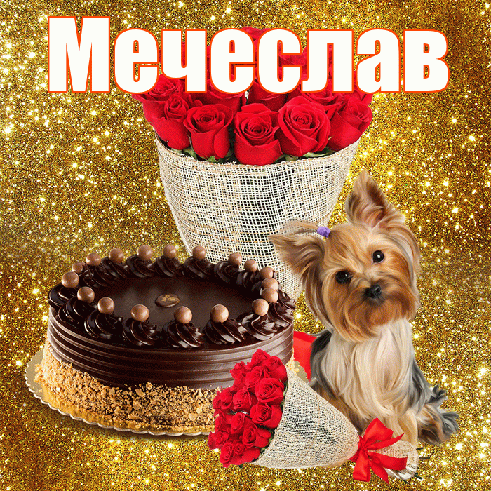 Мечеслав! С первым воскресеньем весны! Красивая открытка Мечеславу!
