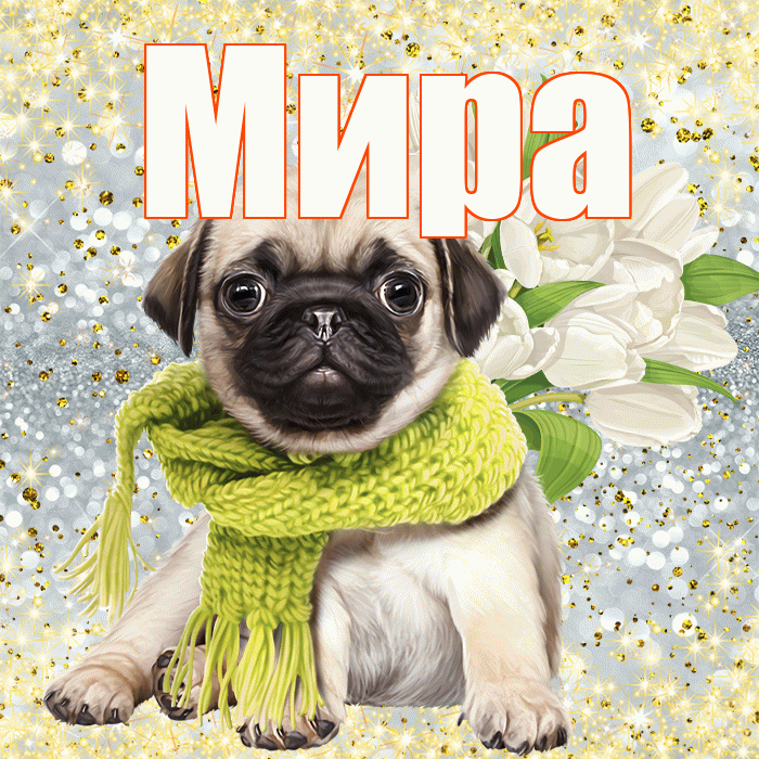 Мира! С первым воскресеньем весны! Красивая открытка Миру!