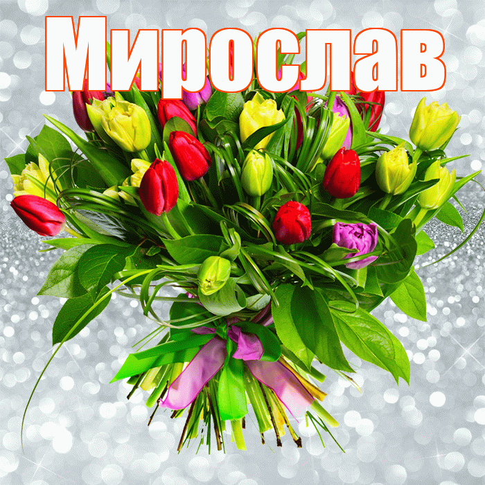 Мирослав! С первым воскресеньем весны! Красивая открытка Мирославу!