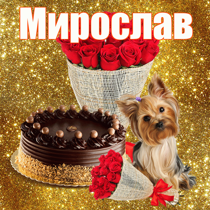 Мирослав! С первым воскресеньем весны! Красивая открытка Мирославу!