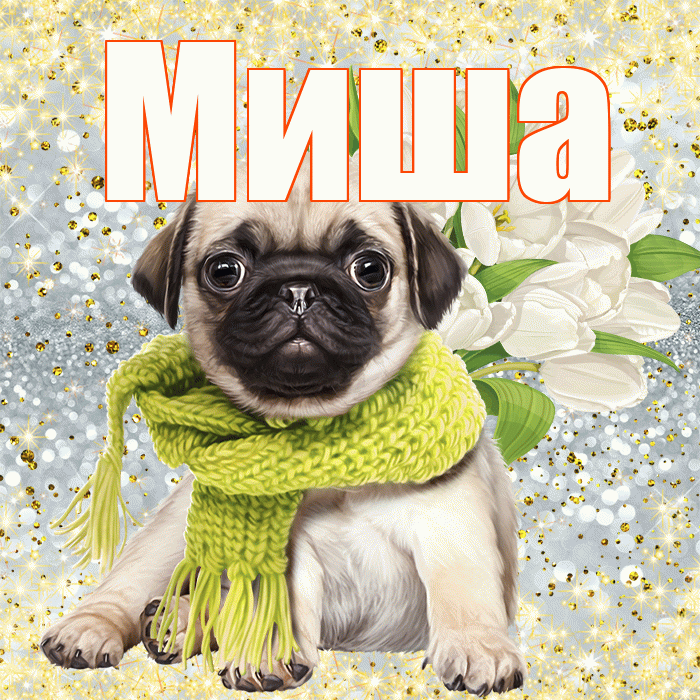 Миша! С первым воскресеньем весны! Красивая открытка Мише!
