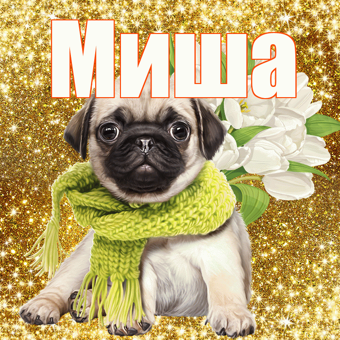 Миша! С первым воскресеньем весны! Красивая открытка Мише!