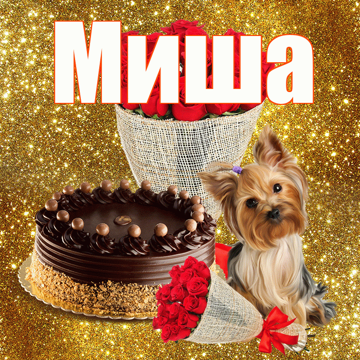 Миша! С первым воскресеньем весны! Красивая открытка Мише!