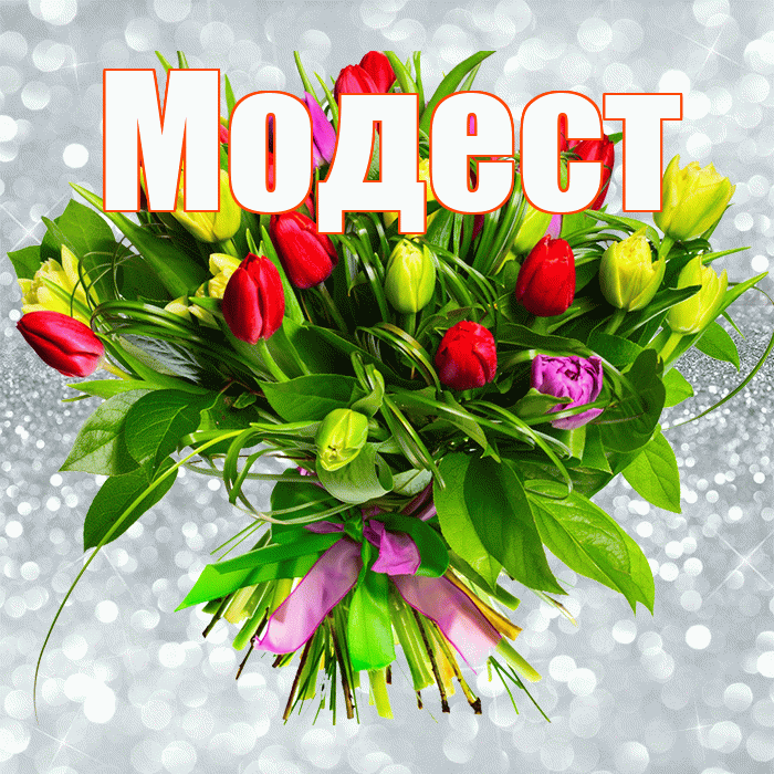 Модест! С первым воскресеньем весны! Красивая открытка Модесту!