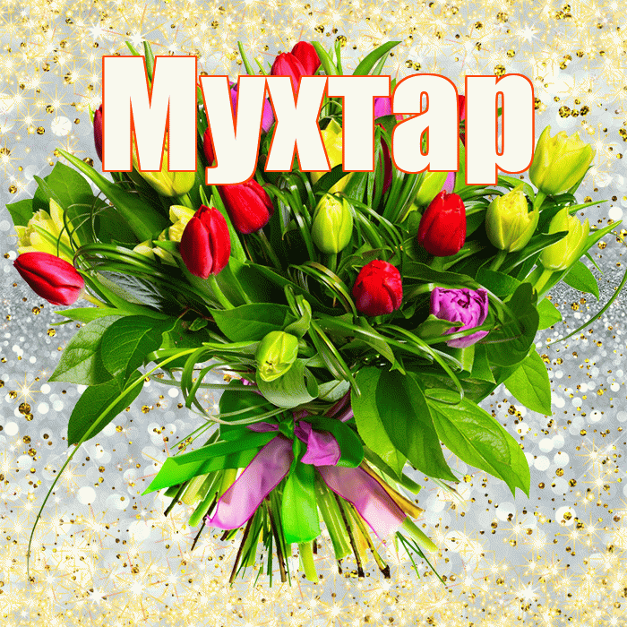 Мухтар! С первым воскресеньем весны! Красивая открытка Мухтару!