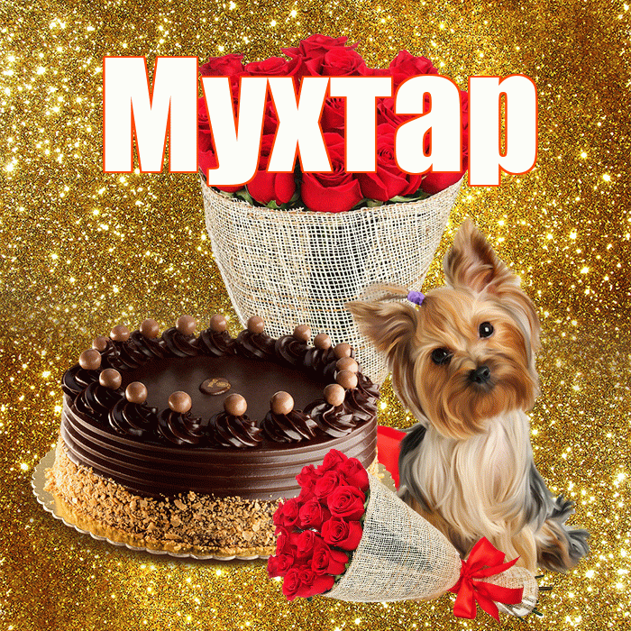 Мухтар! С первым воскресеньем весны! Красивая открытка Мухтару!