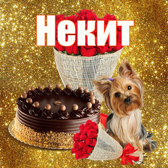 Некит! С первым воскресеньем весны! Красивая открытка !