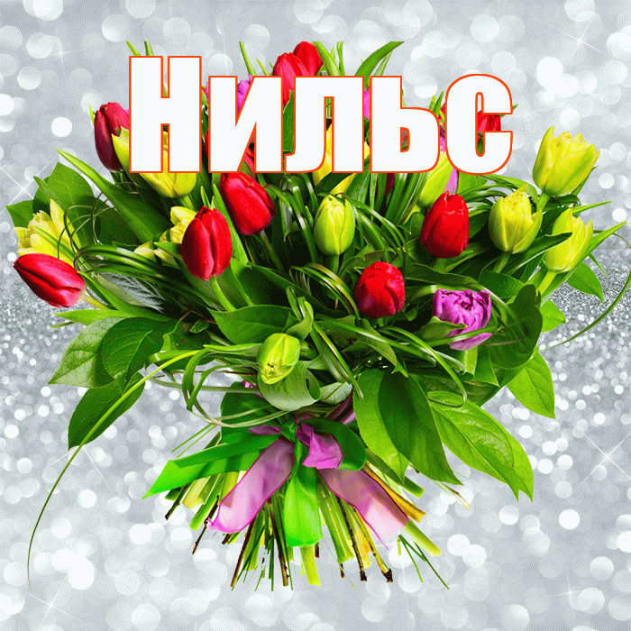 Нильс! С первым воскресеньем весны! Красивая открытка Нильсу!