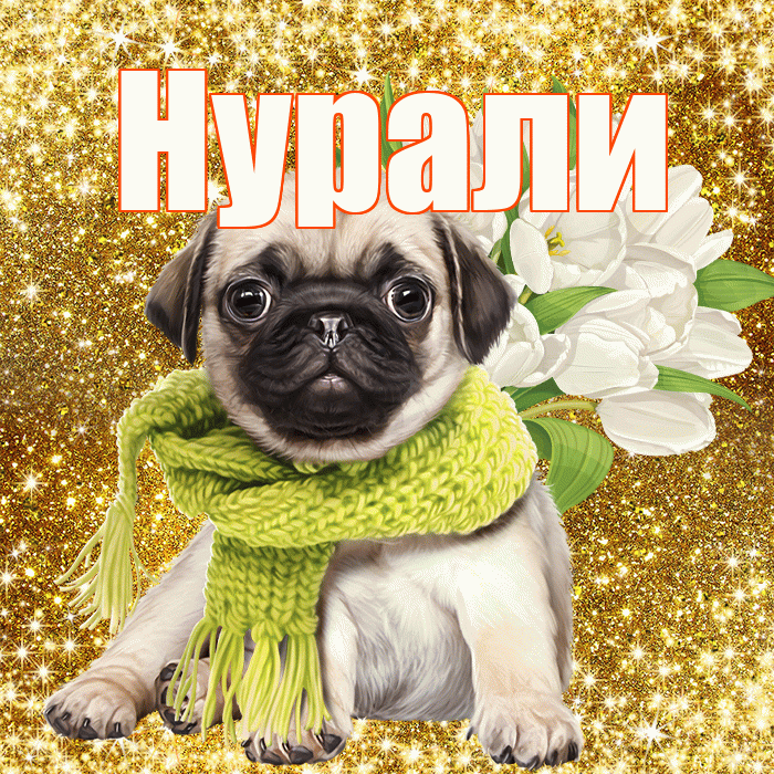 Нурали! С первым воскресеньем весны! Красивая открытка Нурали!