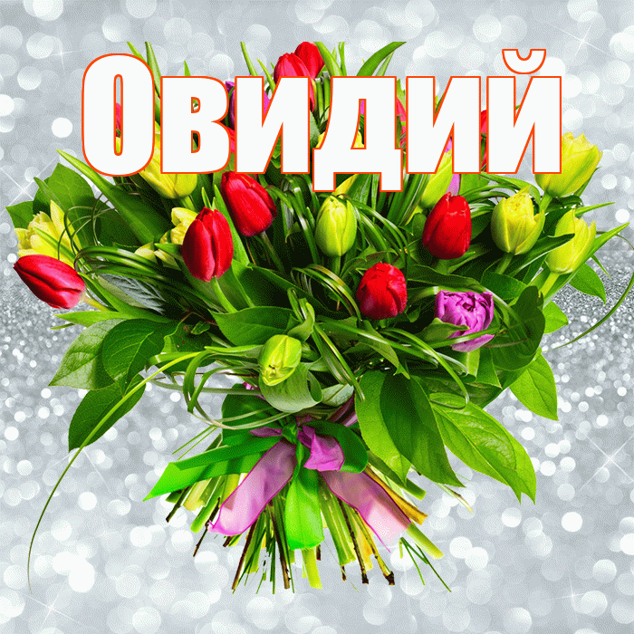 Овидий! С первым воскресеньем весны! Красивая открытка Овидию!