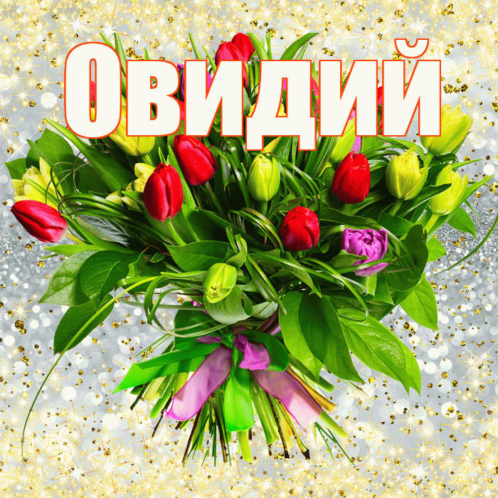 Овидий! С первым воскресеньем весны! Красивая открытка Овидию!
