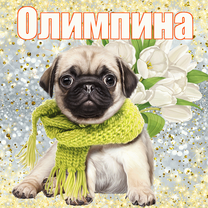 Олимпина! С первым воскресеньем весны! Красивая открытка Олимпине!