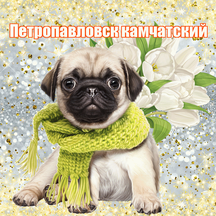 Петропавловск камчатский! С первым воскресеньем весны! Красивая открытка Петропавловску!