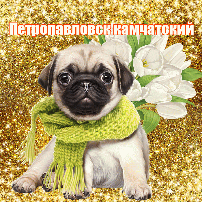 Петропавловск камчатский! С первым воскресеньем весны! Красивая открытка Петропавловску!