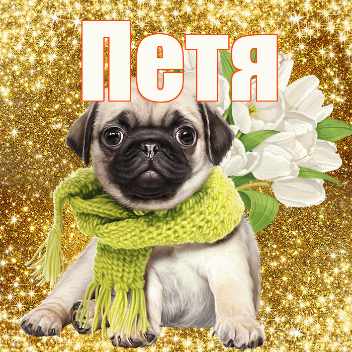 Петя! С первым воскресеньем весны! Красивая открытка Пете!