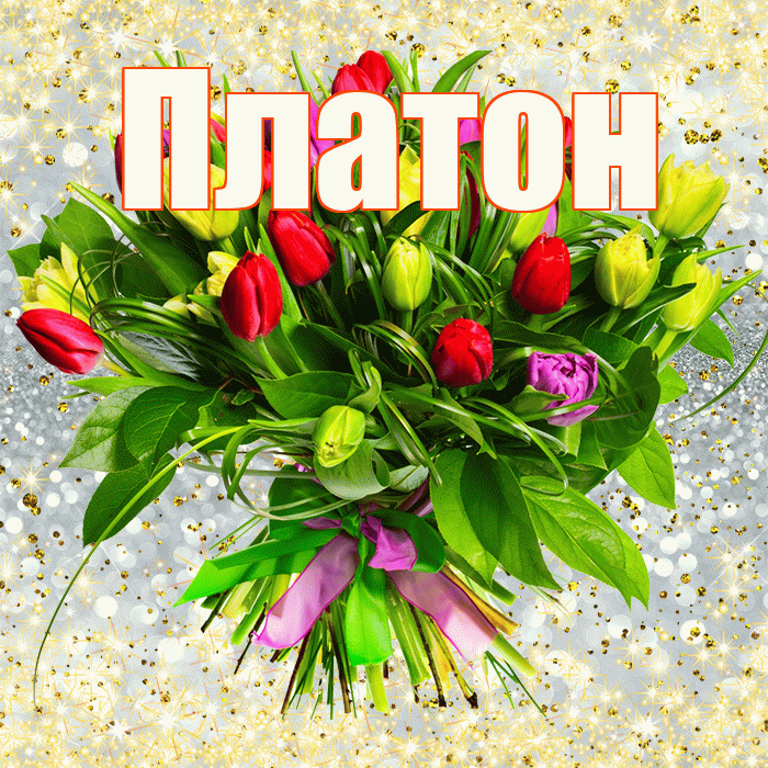 Платон! С первым воскресеньем весны! Красивая открытка Платону!