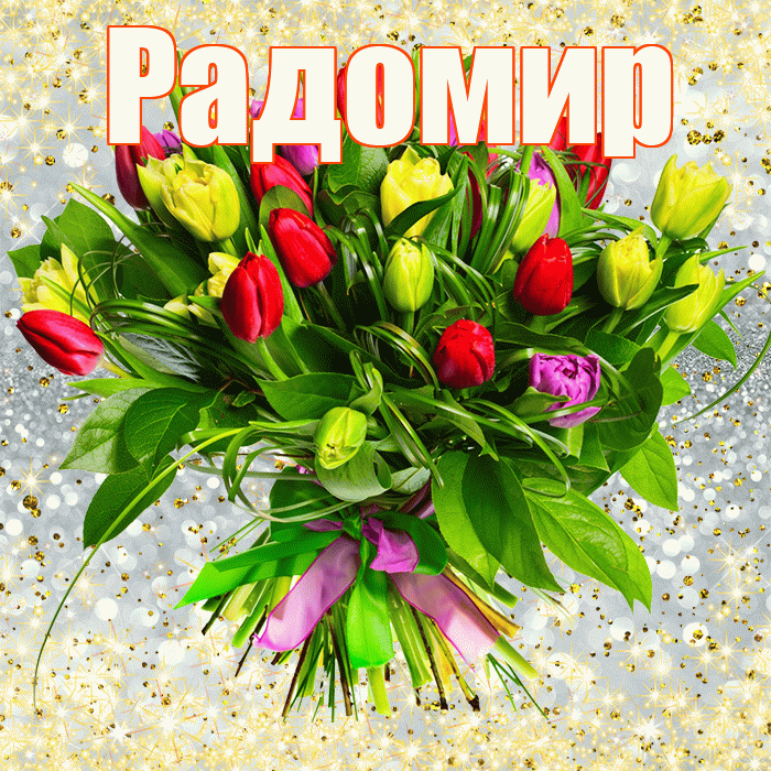 Радомир! С первым воскресеньем весны! Красивая открытка Радомиру!